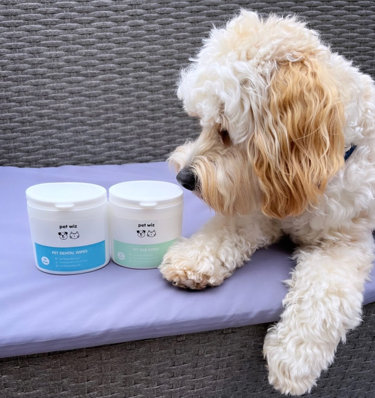 Ear Wipes for Dogs & Cats