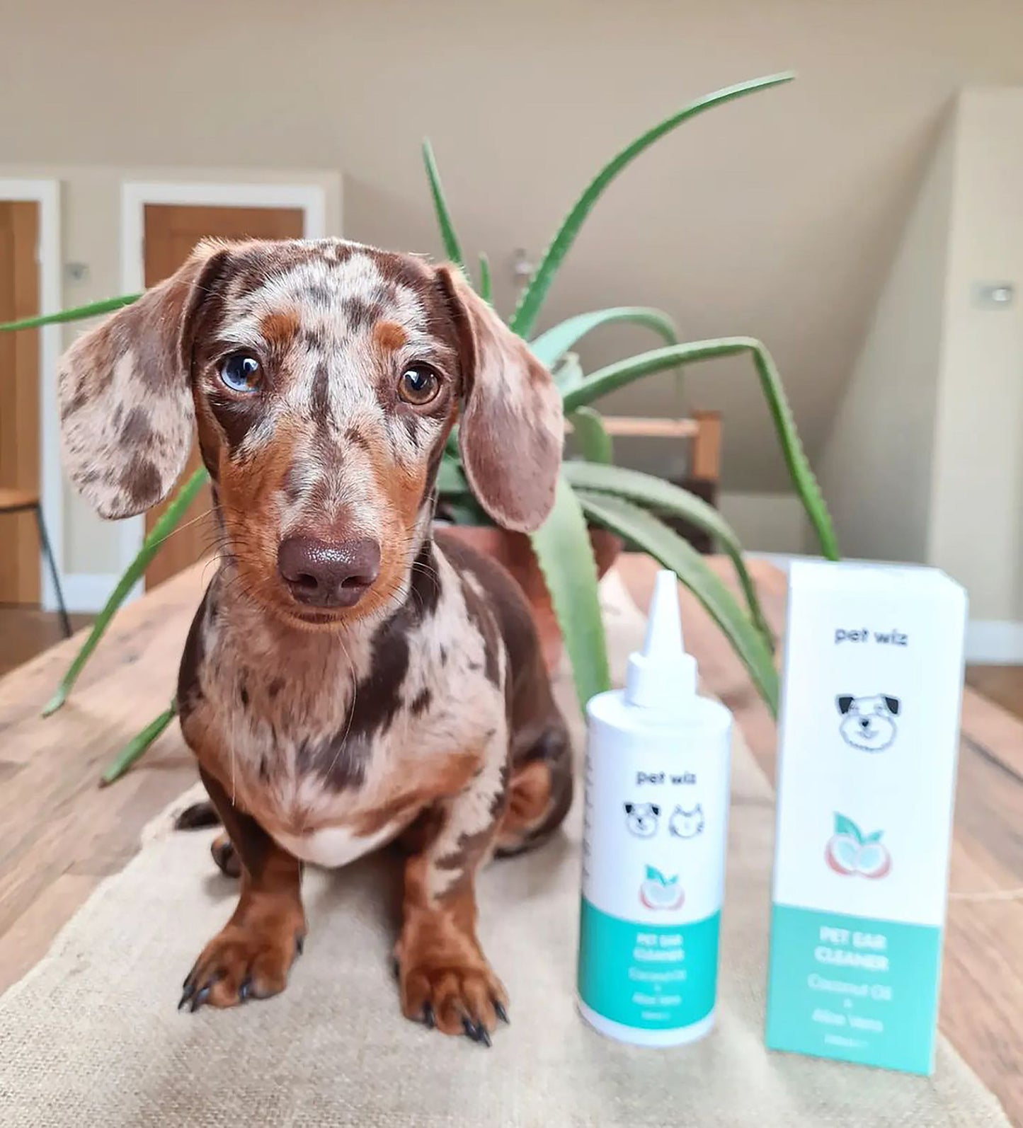 Ear Cleaner for Dogs & Cats - Coconut Oil & Aloe Vera