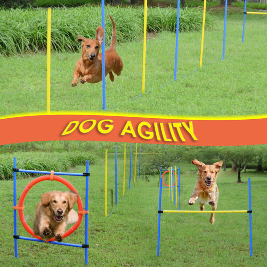 PawHut Dog Pet Obstacle Agility Training Kit High Jump Weave Pole Ring