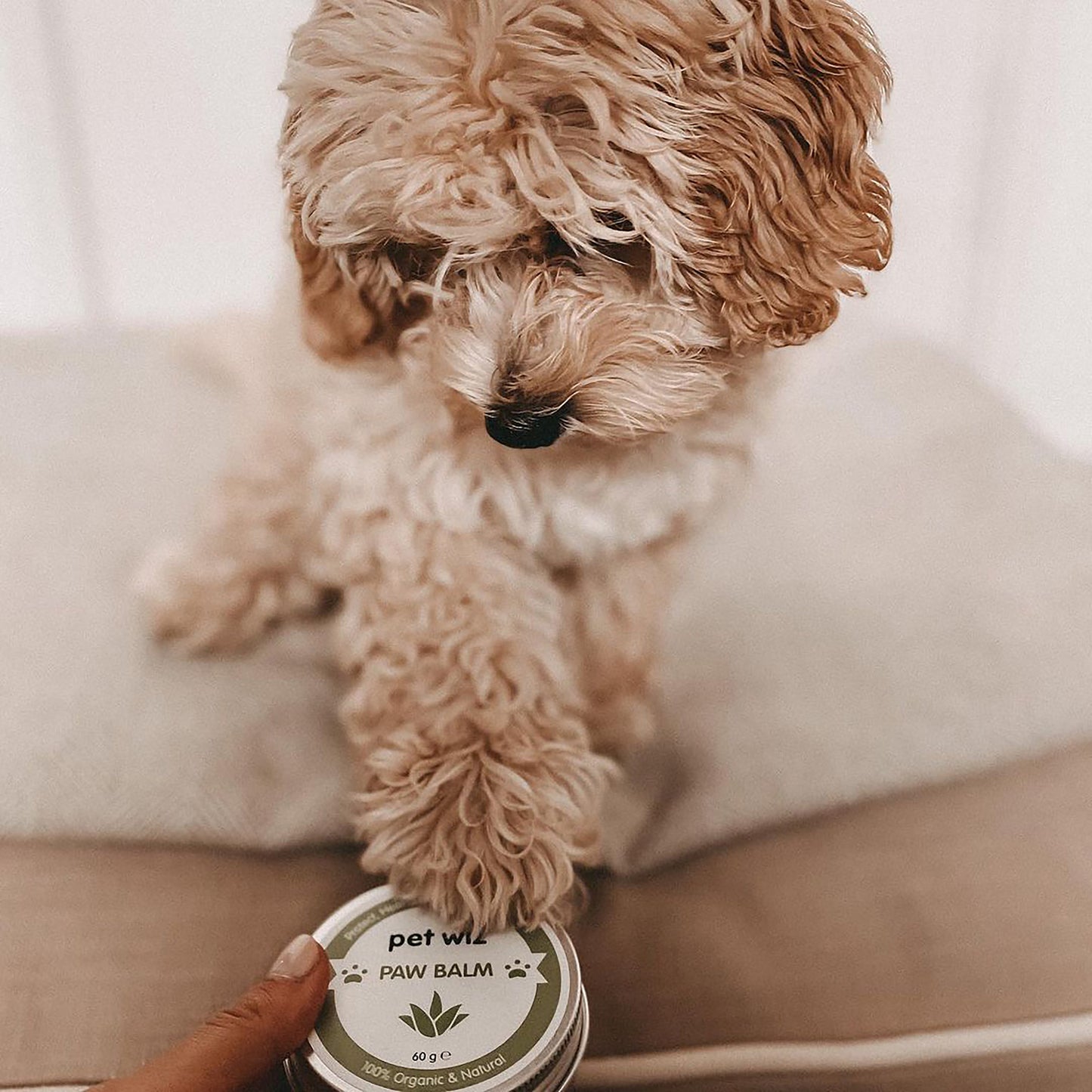 Organic Paw and Nose Balm for Dogs and Cats