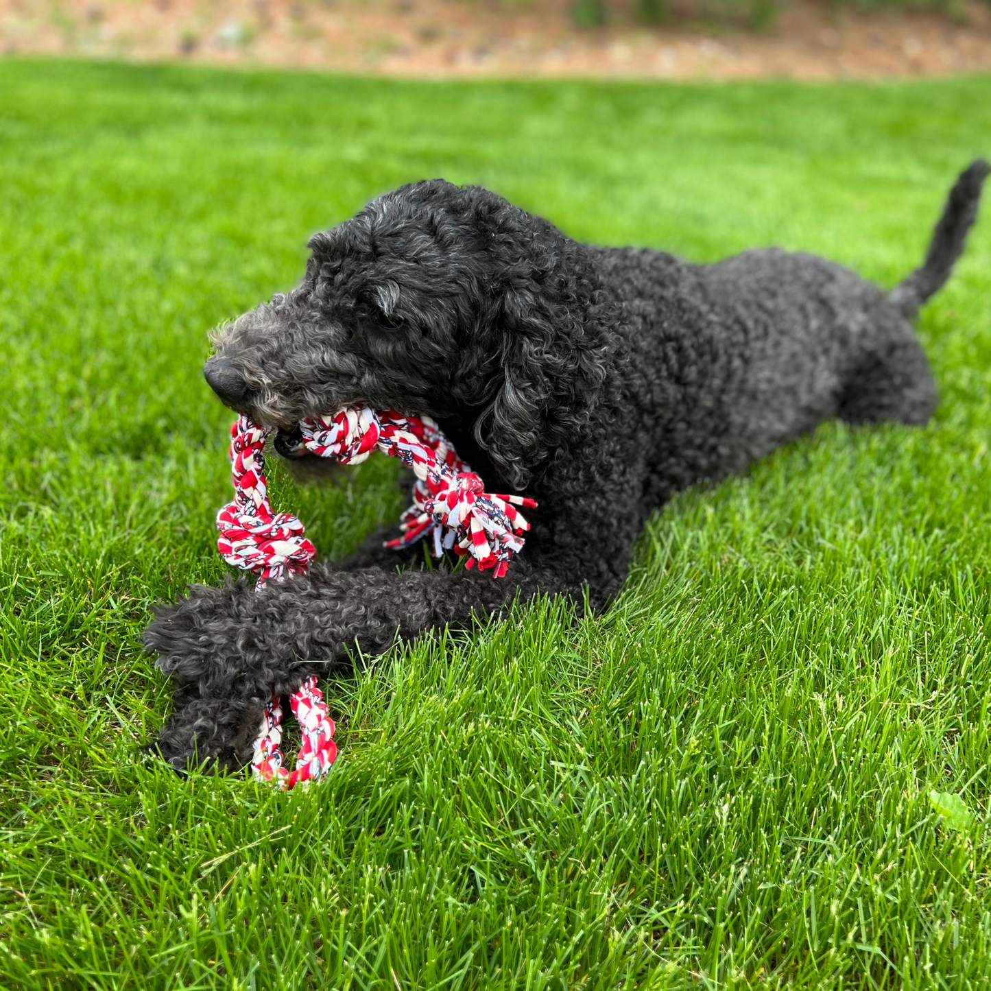 Rerope Barreled Upcycled Fabric Rope Dog Toys