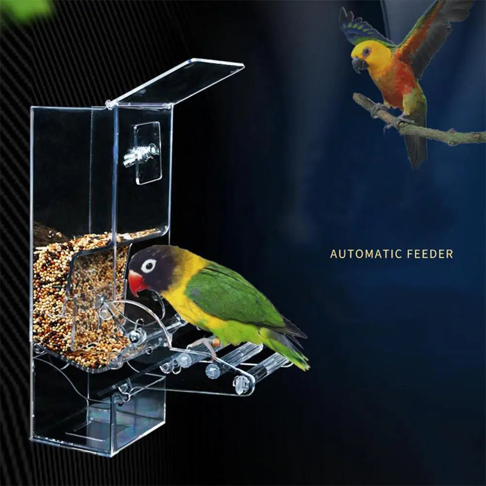 Automatic Bird Feeder Acrylic Parrot Seed Food Container Bird Cage Accessories for Parakeet Canary Cockatiel Bird Feeding Device