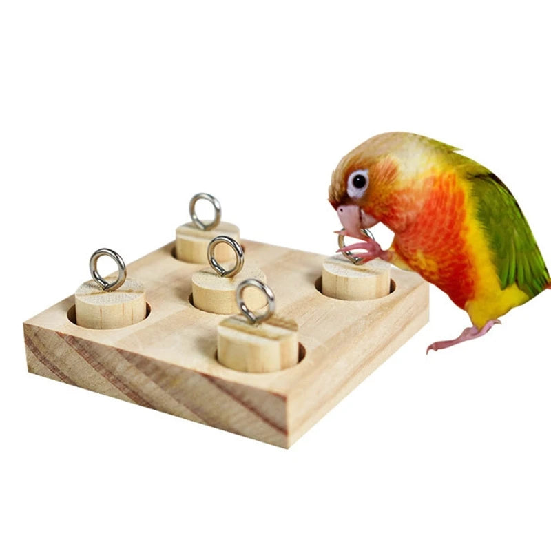 Birds Parrot Wooden Platform Plastic Rings Intelligence Training Chew Puzzle Toy Block Pet Educational Gifts