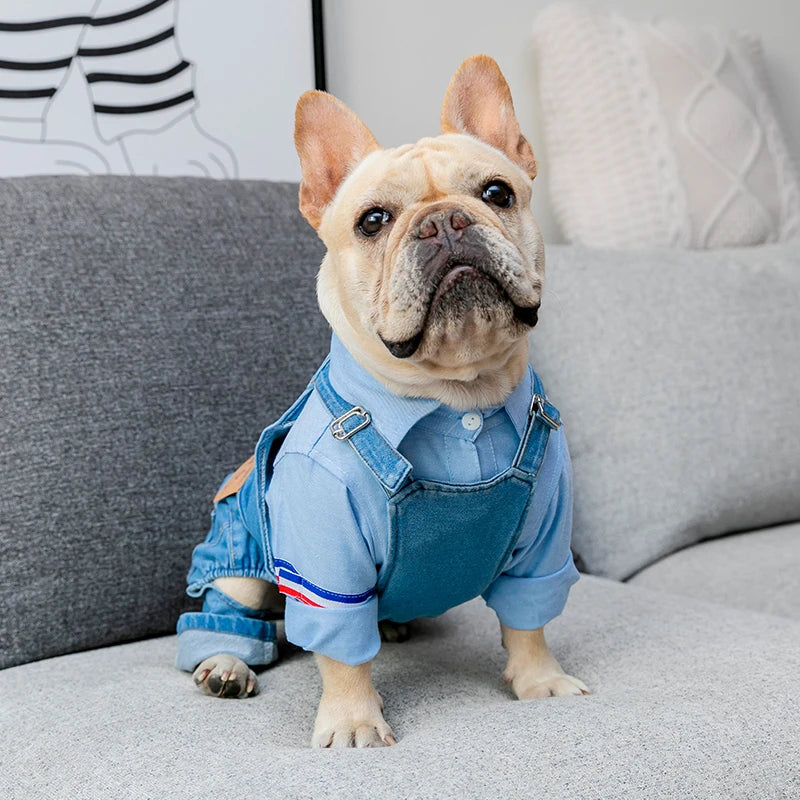 Denim Dog Coat Autumn Winter Pets Dogs Clothing Fat Dog Clothes Fashion Pet Clothes French Bulldog Puppy Costume Pug Dogs Jacket