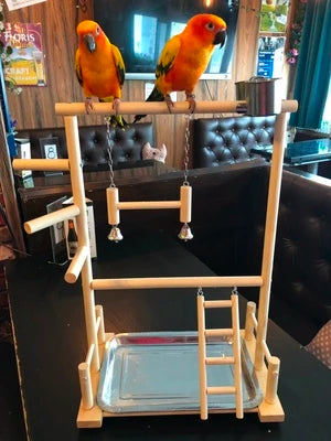 Parrot Playstands With Cup Toys Tray Bird Swing Climbing Hanging Ladder Bridge Wood Cockatiel Playground Bird Perches 53*23*36cm