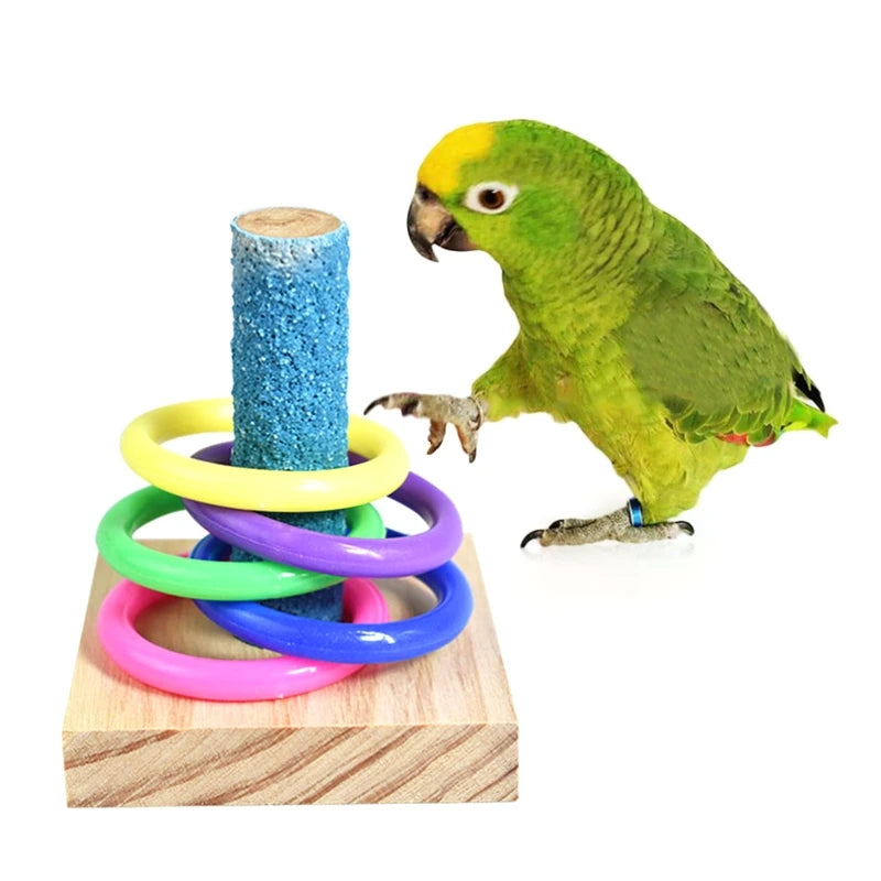 Birds Parrot Wooden Platform Plastic Rings Intelligence Training Chew Puzzle Toy Block Pet Educational Gifts