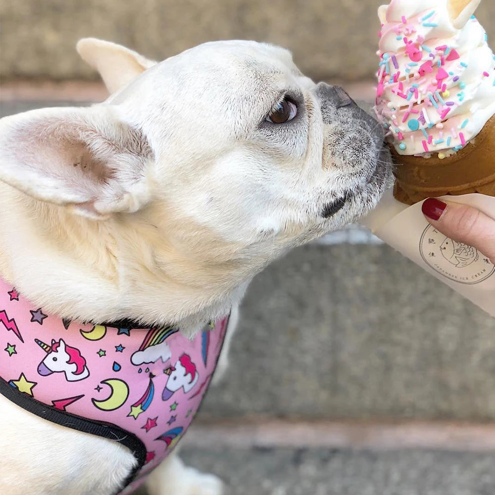 Pink Unicorn Small Dog Harness No Pull Dog Vest Harnesses for Medium Small Dogs Harness Leash Set Pets Puppy French Bulldog Pug