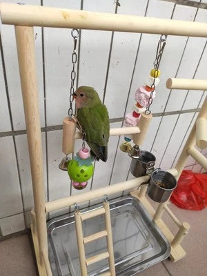 Parrot Playstands With Cup Toys Tray Bird Swing Climbing Hanging Ladder Bridge Wood Cockatiel Playground Bird Perches 53*23*36cm