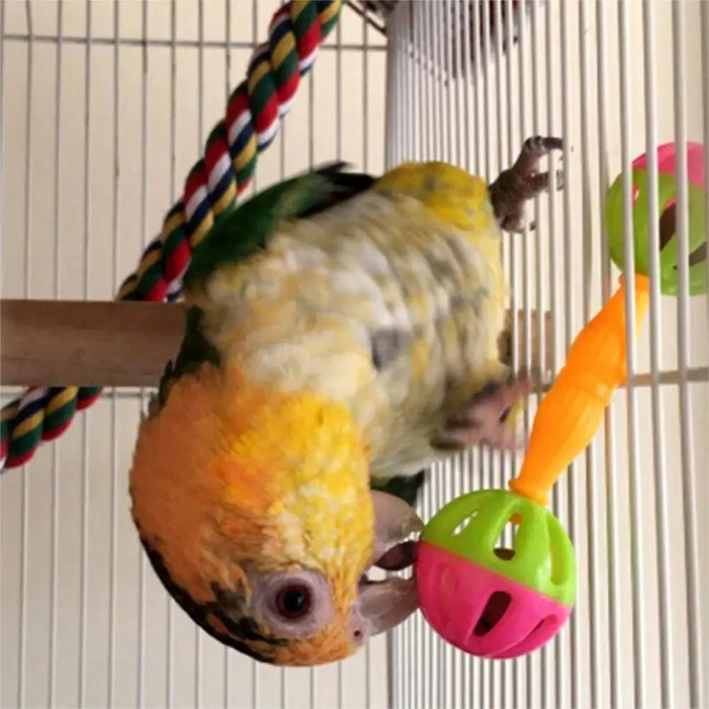 Parrot Toy Creative Pet Bird Parrot Hollow Double-head Bell Ball Rattle Bite Chew Training Toys  Interactive Ball Toy