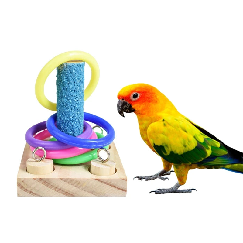 Birds Parrot Wooden Platform Plastic Rings Intelligence Training Chew Puzzle Toy Block Pet Educational Gifts