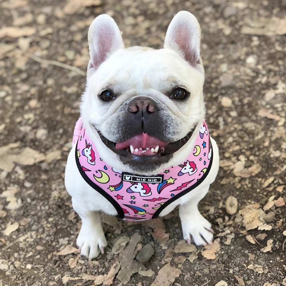 Pink Unicorn Small Dog Harness No Pull Dog Vest Harnesses for Medium Small Dogs Harness Leash Set Pets Puppy French Bulldog Pug