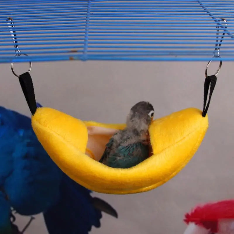 Small Pet House Boat Shape Parrot Rat Hammock Hanging Beds Hamster Nest