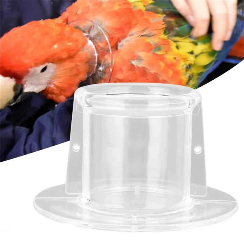 Bird Protective Bead Parrot Collar Anti Feather Picking Ring Anti-Plucking Anti-Grab Collars Collar For Rodents Bird