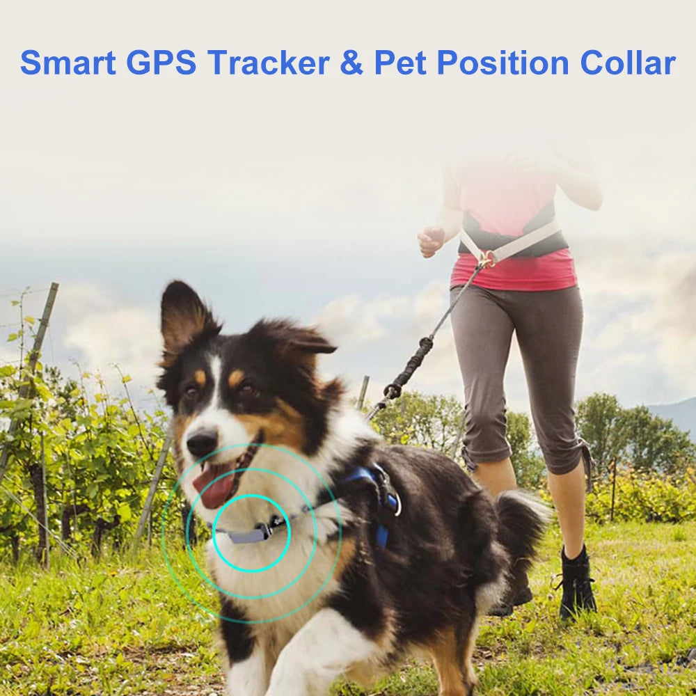 Anti-lost Pet Collar GSM GPS Tracker for Pets Dogs Cats Cattle Sheep Tracking Locator GPS Positioner Rechargeable Dog Tracker