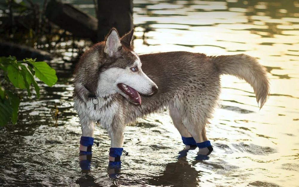 Top Quality New 100% Waterproof Warm Big Dog Shoes Winter Large Pet Outdoor long dog Boots Non-Slip Shoes For dogs 4pcs/set