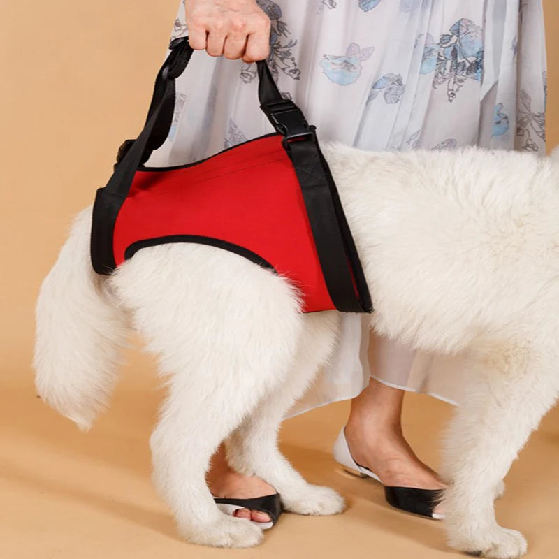 TAILUP New Arrival Front Rear Type Dog Lift Harness Elderly Sick Dog K9 Canine Aid With Handle