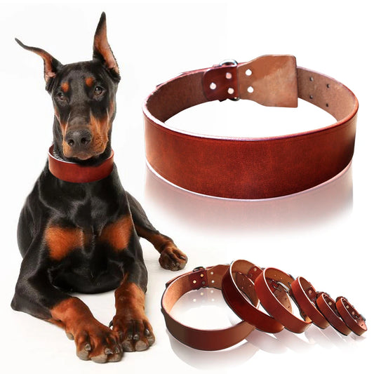 Top Quality Plain Cowhide Genuine Leather Pet Dog Collars Heavy Duty Deep Brown Size XS S M L XL XXL