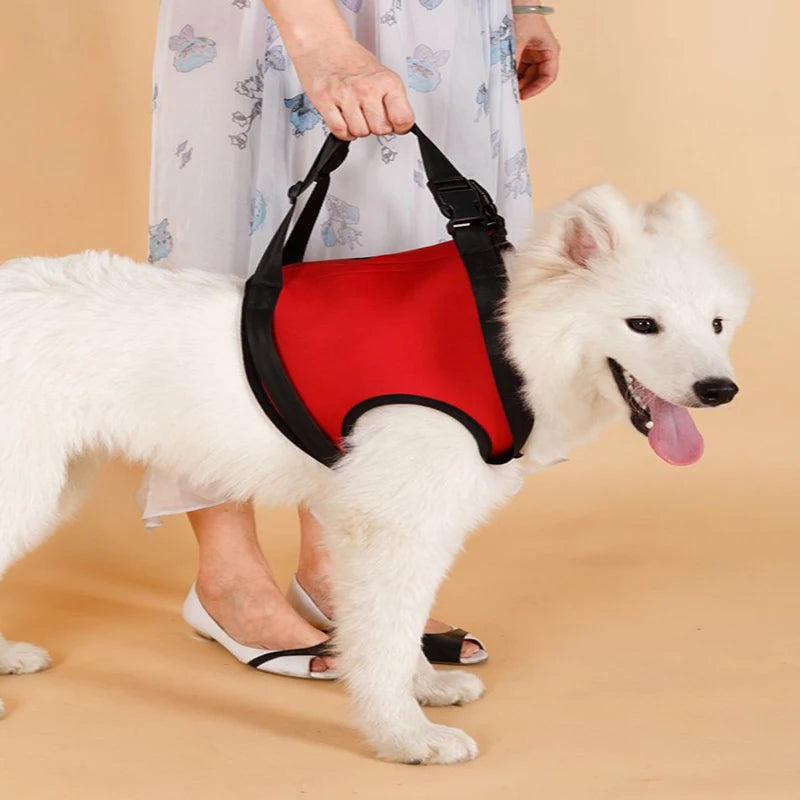 TAILUP New Arrival Front Rear Type Dog Lift Harness Elderly Sick Dog K9 Canine Aid With Handle