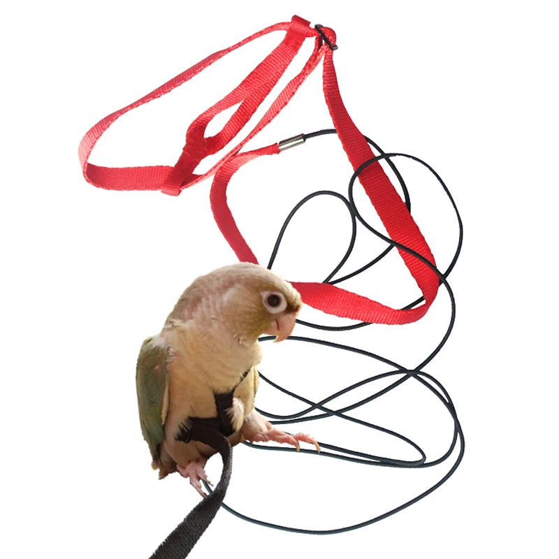 Bird Leashes Anti-bite Flying Training Rope Parrot  Kits Ultralight Harness Leash Soft Portable Pet Playthings