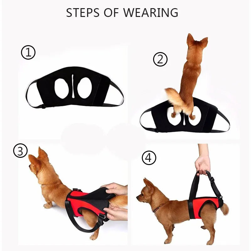 TAILUP New Arrival Front Rear Type Dog Lift Harness Elderly Sick Dog K9 Canine Aid With Handle