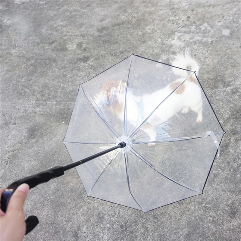 New Transparent Pet Umbrellas Small Dog Umbrella With Dog Leash Iron Chain As Raincoat For Dogs Beautiful Package Pet Supplies