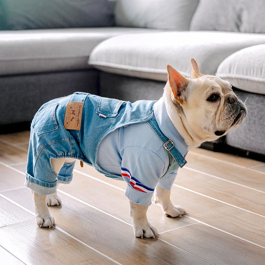 Denim Dog Coat Autumn Winter Pets Dogs Clothing Fat Dog Clothes Fashion Pet Clothes French Bulldog Puppy Costume Pug Dogs Jacket