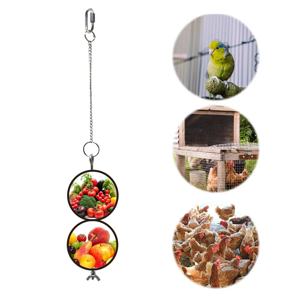 Pet Parrot Stainless Steel Feeder Fruit Corn Fork Toys Chicken Vegetables Holder Hanging Feeding Stick Feeder Accessories Pet