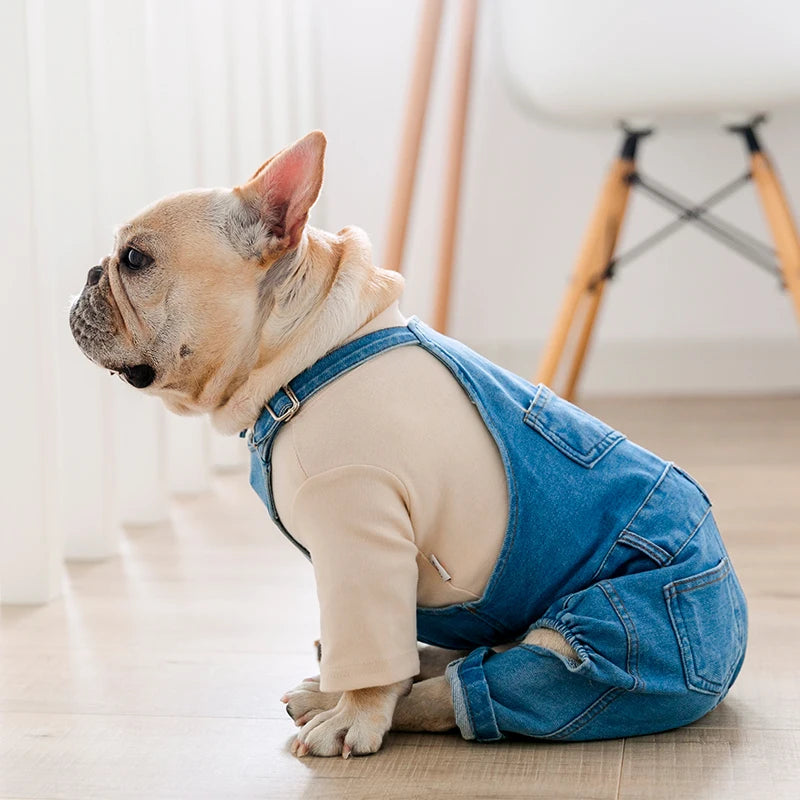 Denim Dog Coat Autumn Winter Pets Dogs Clothing Fat Dog Clothes Fashion Pet Clothes French Bulldog Puppy Costume Pug Dogs Jacket