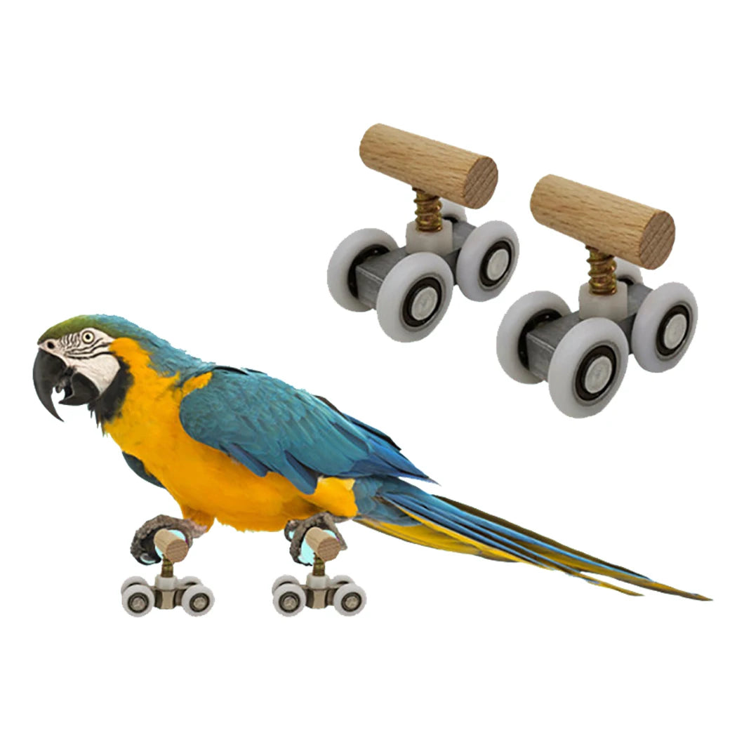 2pcs Parrot Trick Tabletop Mini Roller Ice Skates for Small Medium Parrots Bird Intelligence Training Puzzle Toys