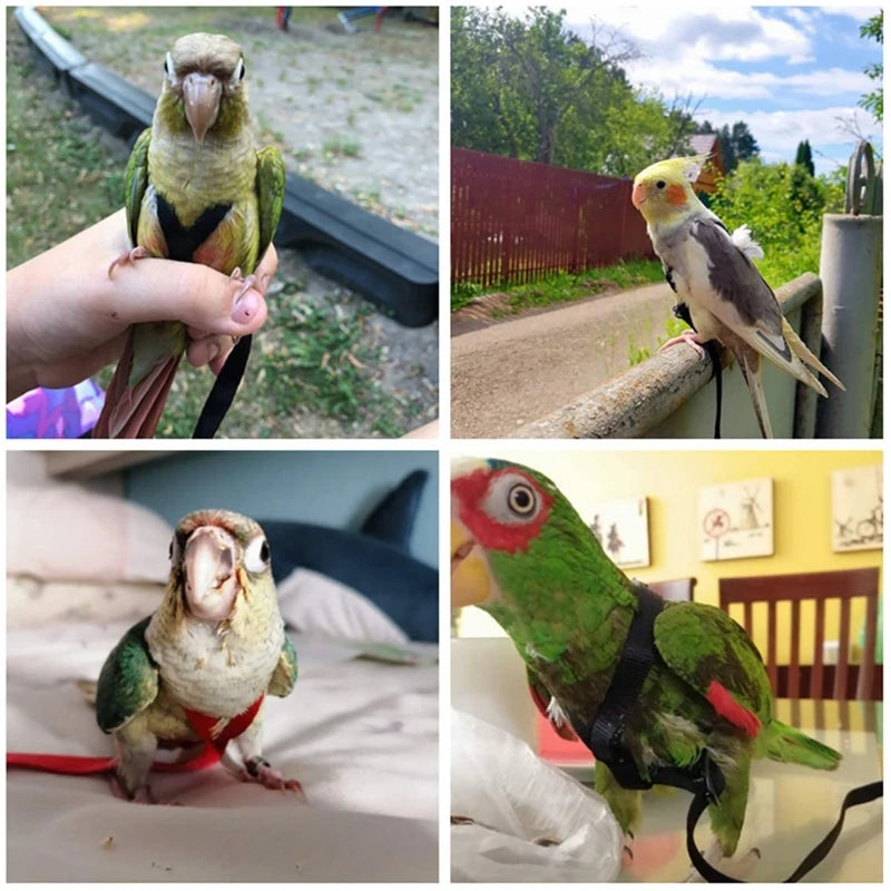 Parrot Bird Harness Leash Outdoor Flying Traction Straps Band Adjustable Anti-Bite Training Rope