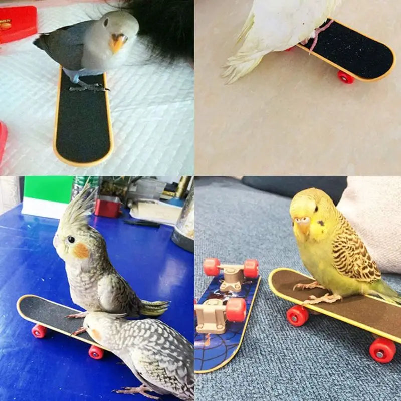 5Pcs/Set Parrot Training Toys Mini Shopping Cart Training Rings Skateboard Stand Perch Chewing Toy Cockatiel Pet Bird Supply C42