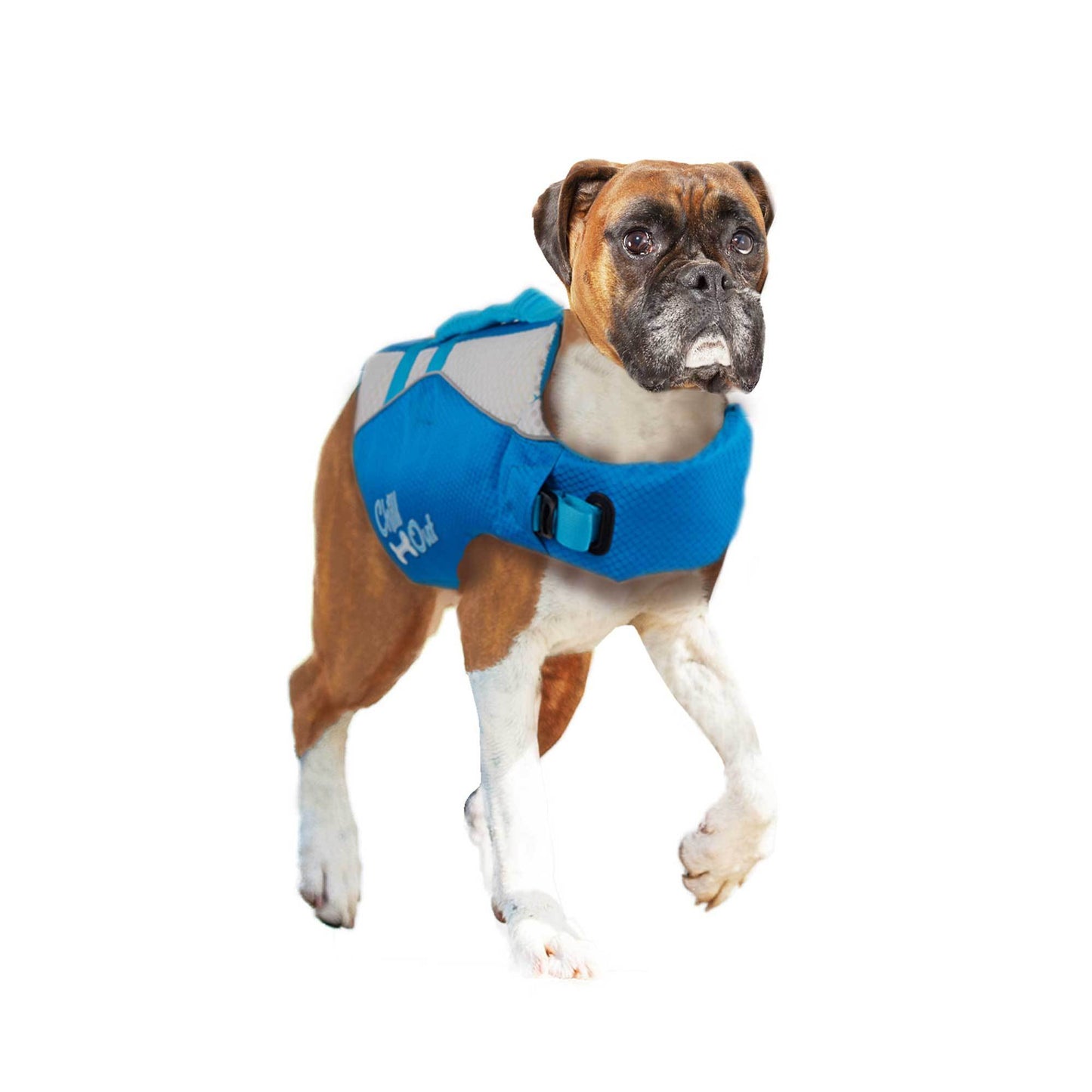 Dog Life Jacket - Puppy Swim Float Adjustable Safety Vest - All For