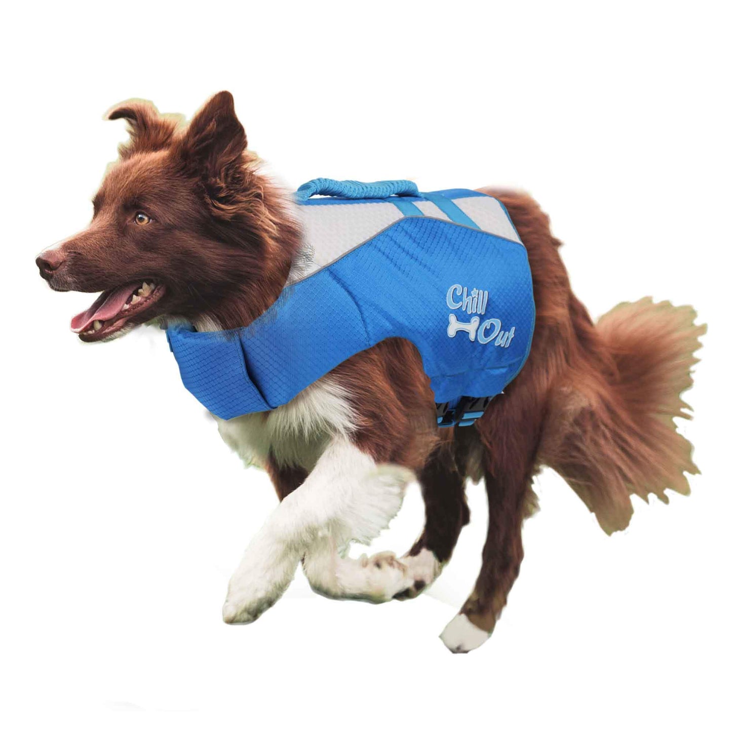 Dog Life Jacket - Puppy Swim Float Adjustable Safety Vest - All For