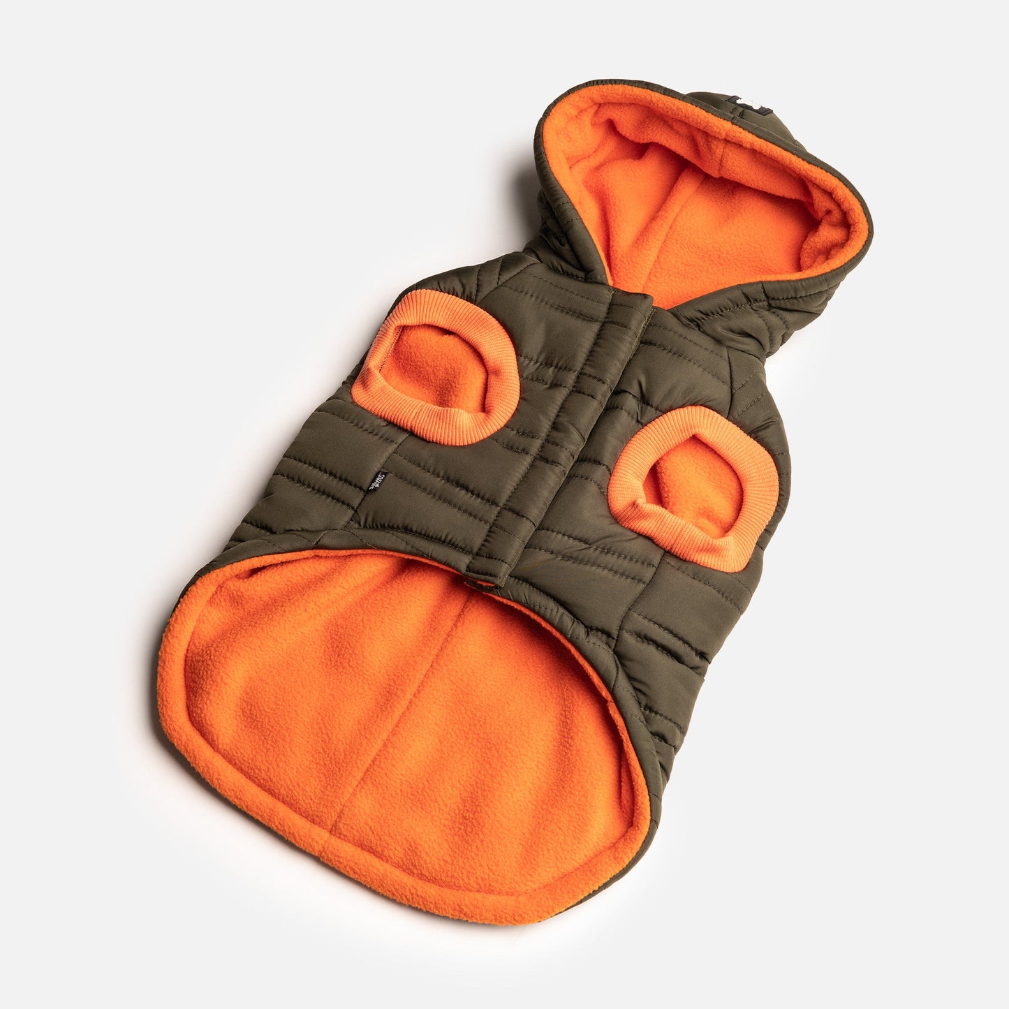 Noah Dog Jacket - Cypress