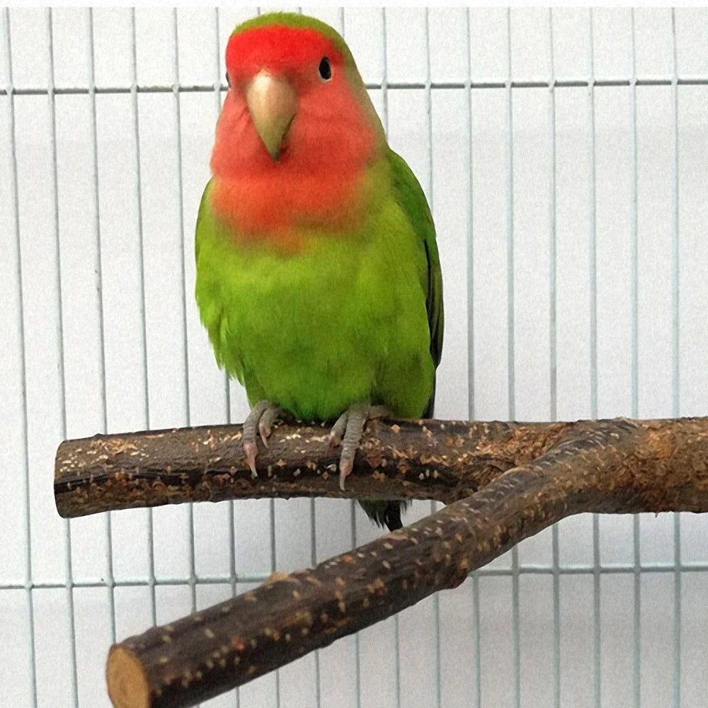 Pet Parrot Branch Perches Stand Wood Rack Simulation Parrot Miniature Landscape Bird Toy Rattle Claw Grinding Supplies Play Toy