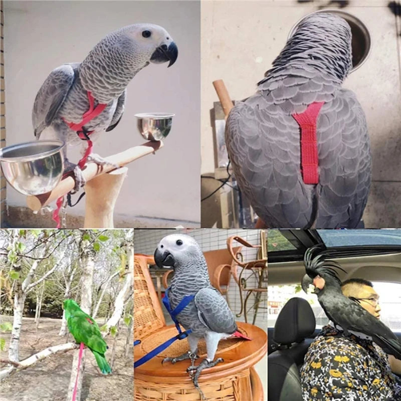 Parrot Bird Harness Leash Adjustable Anti-Bite Training Flying Traction Rope