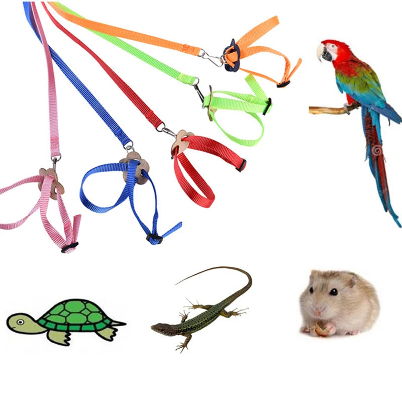 Anti-Bite Bird Harness Leash Set Parrot Harness Nylon Rope Adjustable Flying Training Design Suitable For Parrot Conures Bird