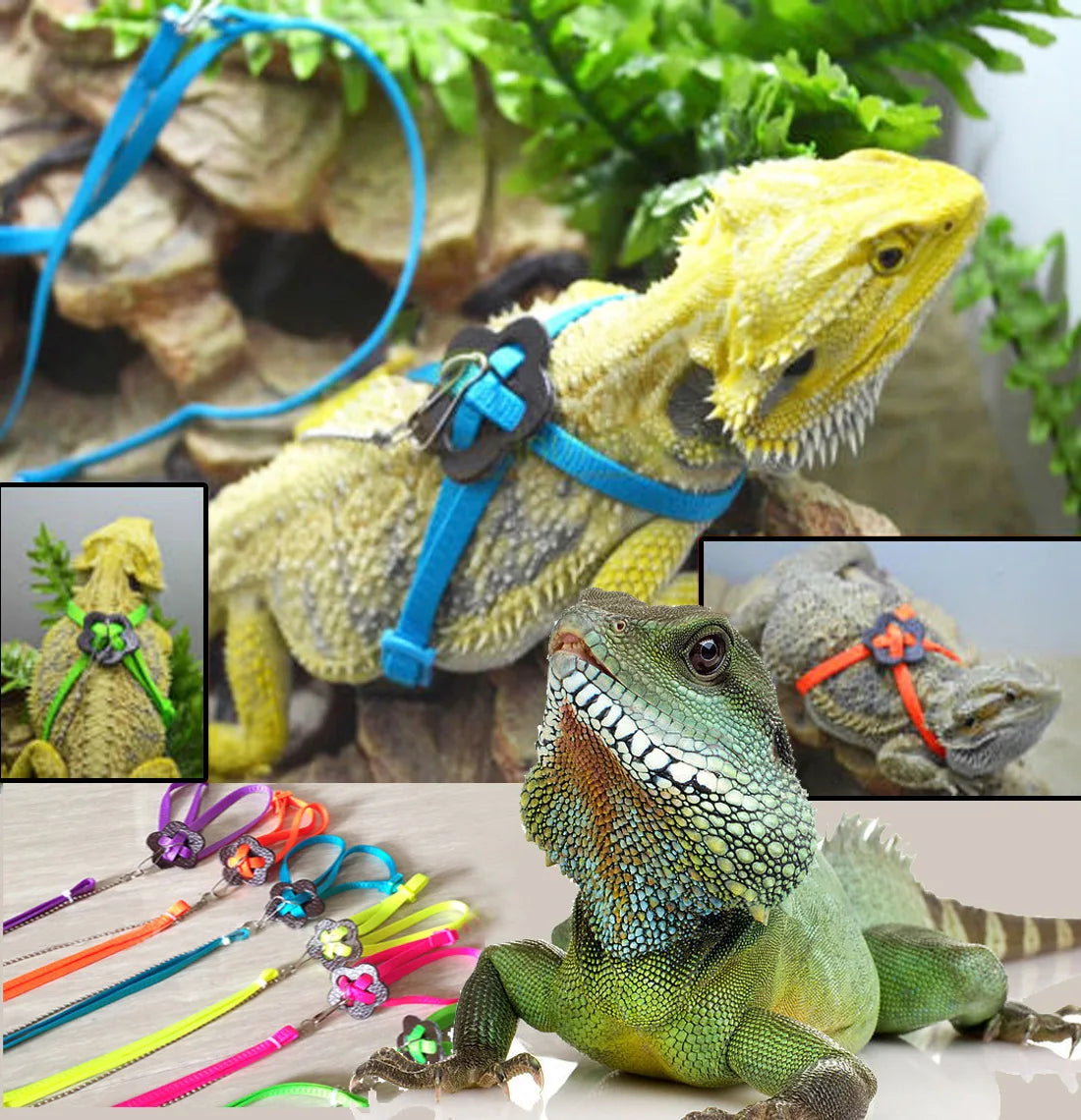 Anti-Bite Bird Harness Leash Set Parrot Harness Nylon Rope Adjustable Flying Training Design Suitable For Parrot Conures Bird