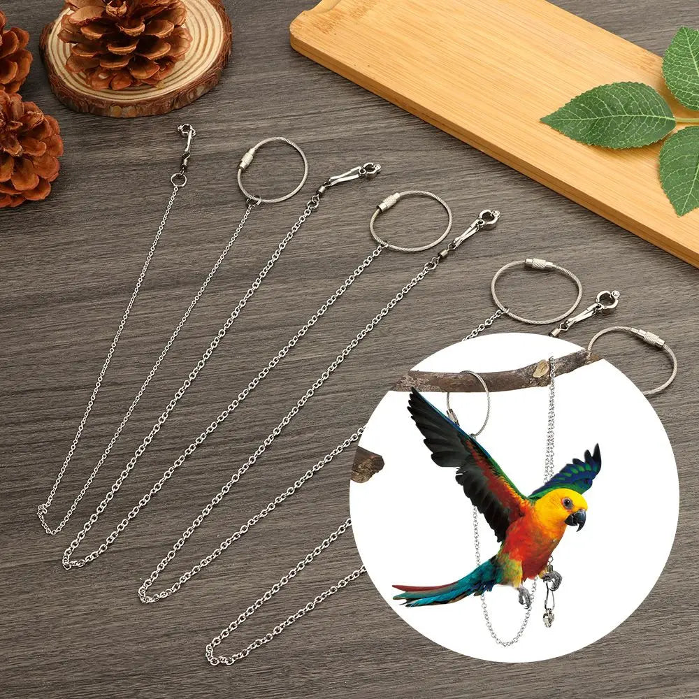 4 Size Outdoor Flying Training Stainless Steel Stand Chain Ankle Foot Ring Bird's Foot Ring Anklet Parrot Foot Chain