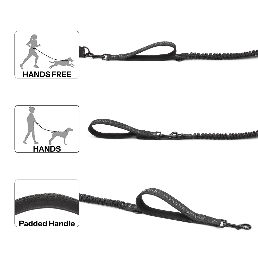 High Qulity Retractable Hands Free Dog Leash For Running Dual Handle Bungee Leash Reflective For Large Dogs Pet Supplies