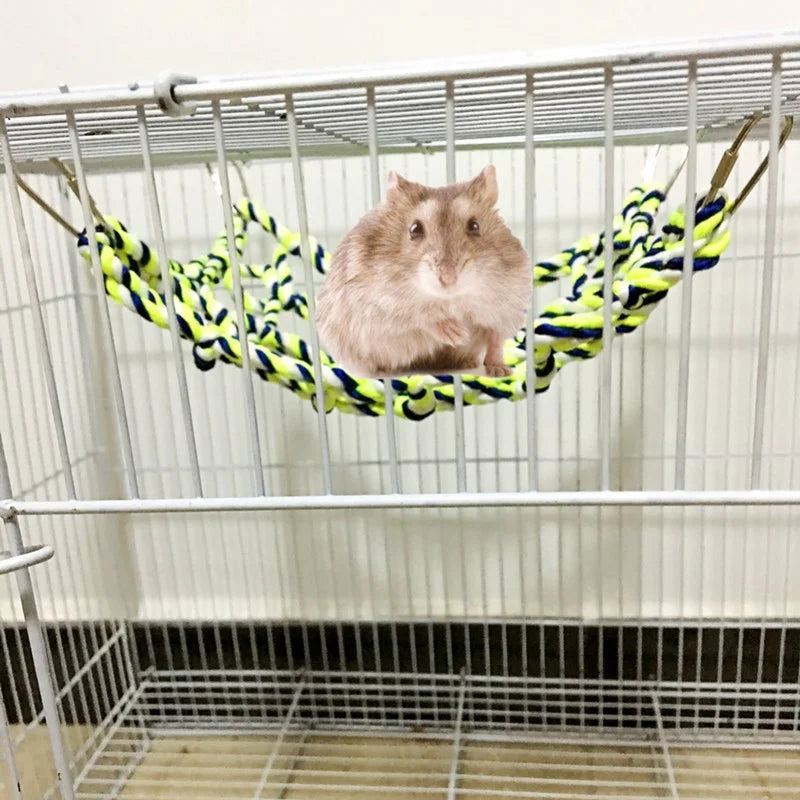 Pet Hammock Toy Hamster Squirrel Puppy Net Rope House Balcony Hammock Colorful Weave Climbing Net Parrot Bird Net