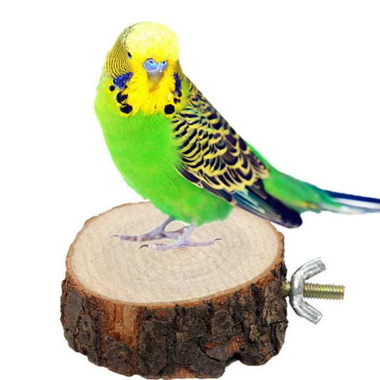 Round Wooden Squirrel Parrot Bird Perch Stand Platform Pet Bird Squirrel Chinchilla Parrot Wooden Pier Diving Platform