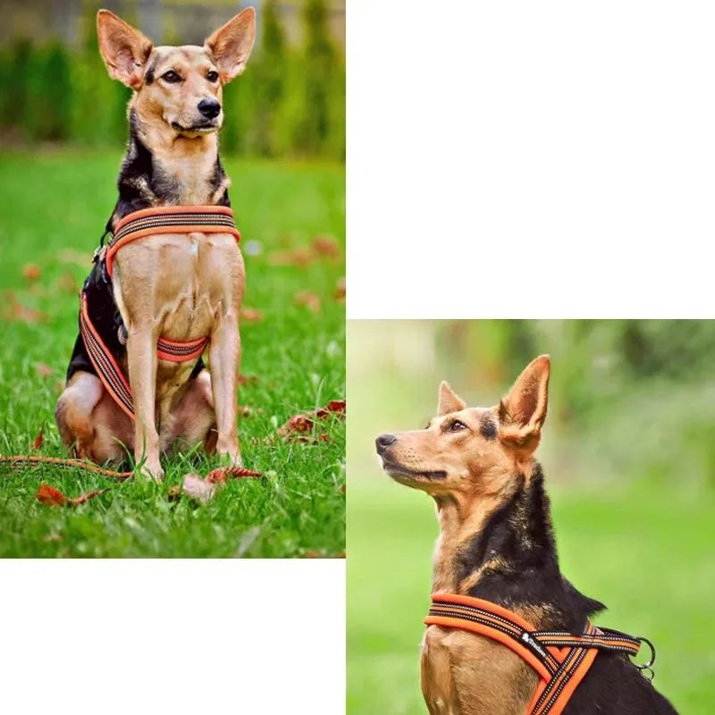 Truelove Soft Mesh Padded Nylon Dog Harness Vest 3M Reflective Security Dog Collar Easy Put On Pet Harness Pull-resistan 5 Color