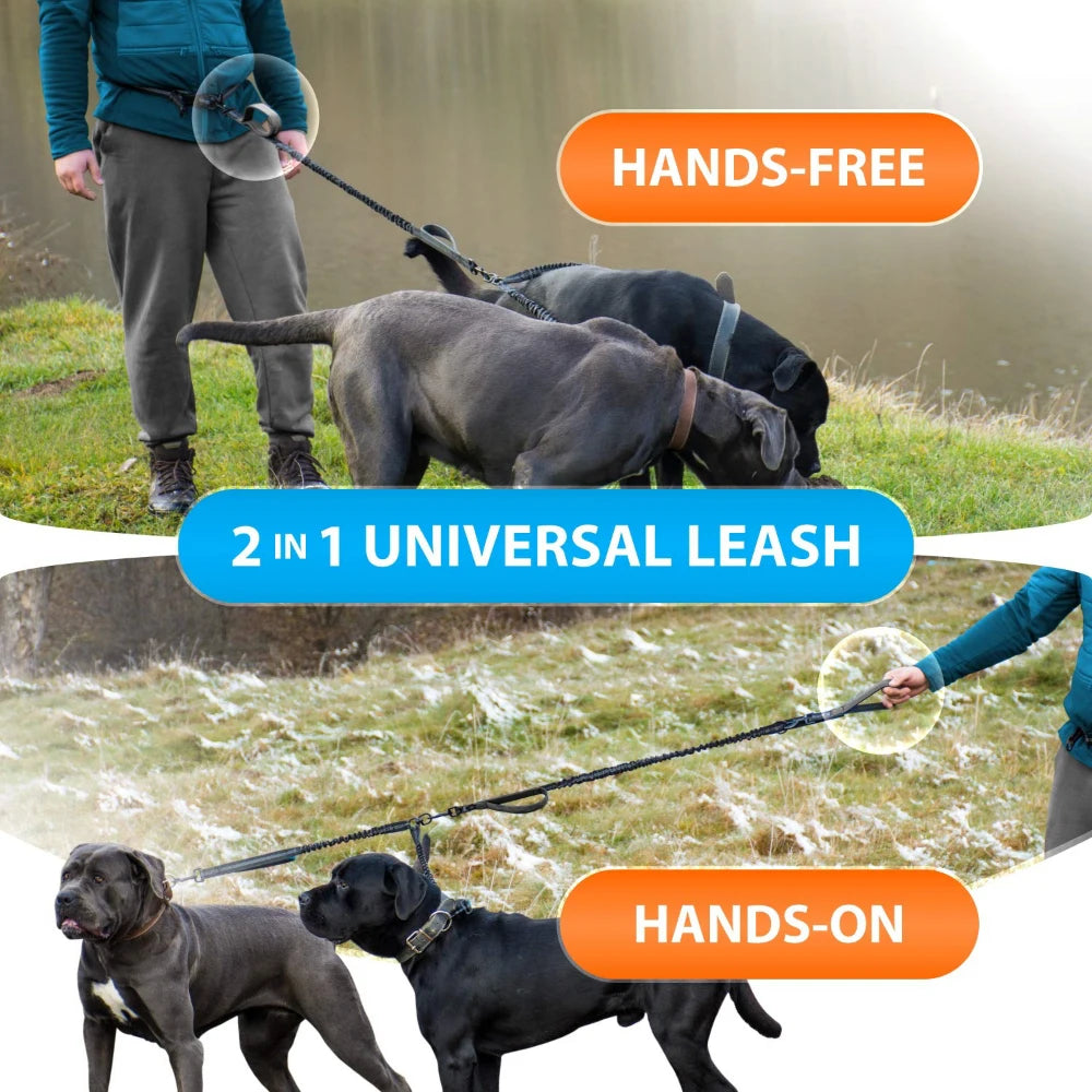 High Qulity Retractable Hands Free Dog Leash For Running Dual Handle Bungee Leash Reflective For Large Dogs Pet Supplies