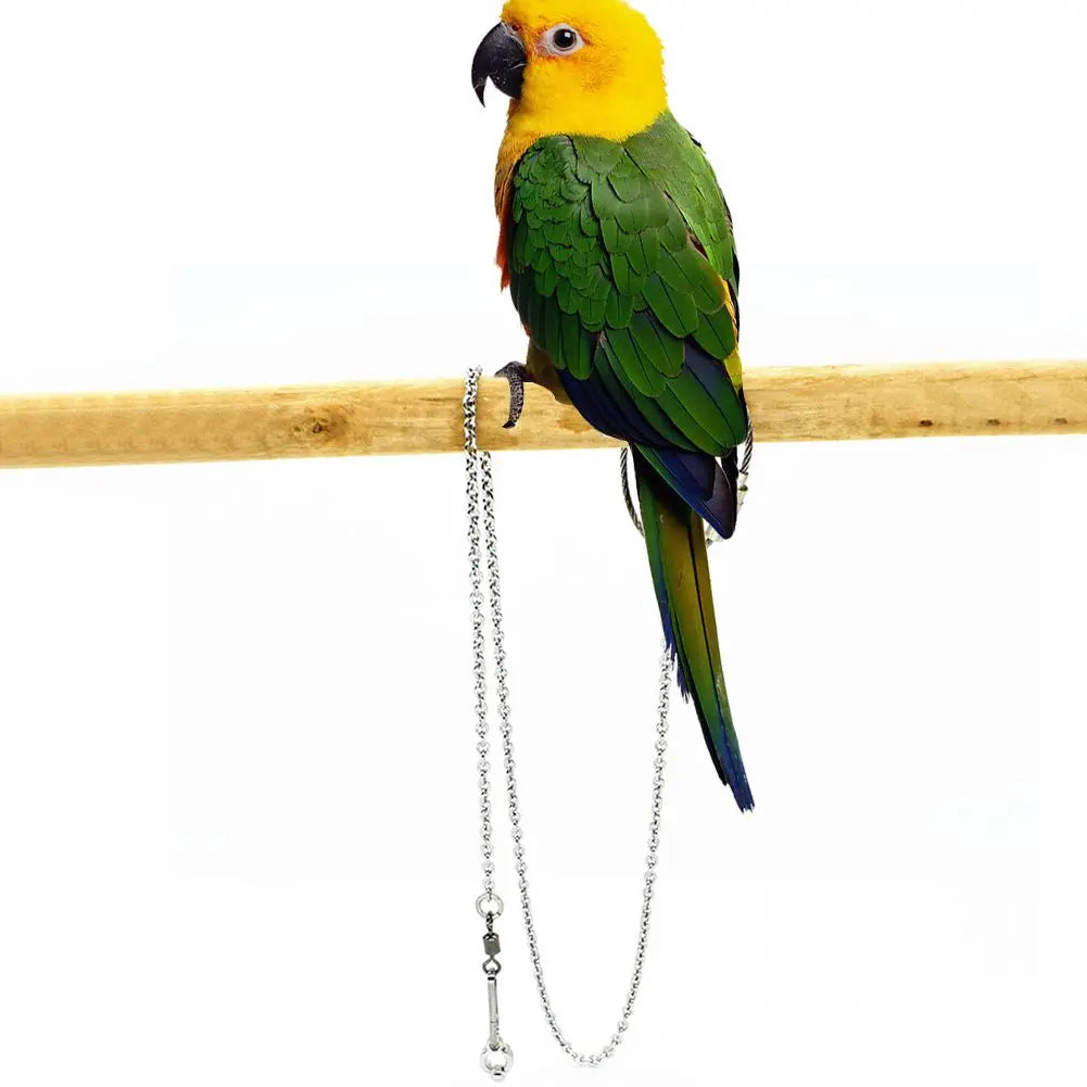 4 Size Outdoor Flying Training Stainless Steel Stand Chain Ankle Foot Ring Bird's Foot Ring Anklet Parrot Foot Chain