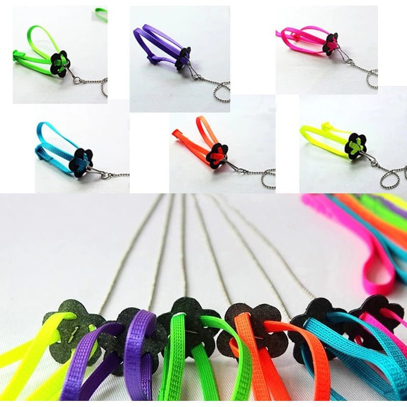 Anti-Bite Bird Harness Leash Set Parrot Harness Nylon Rope Adjustable Flying Training Design Suitable For Parrot Conures Bird