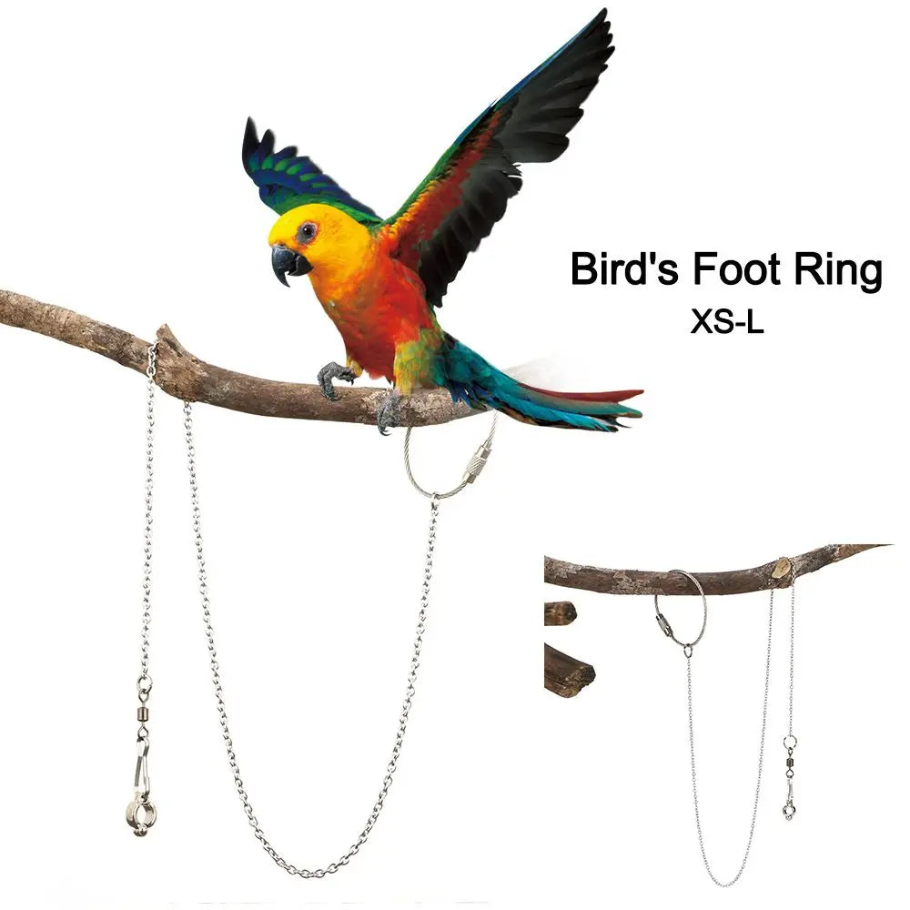 4 Size Outdoor Flying Training Stainless Steel Stand Chain Ankle Foot Ring Bird's Foot Ring Anklet Parrot Foot Chain