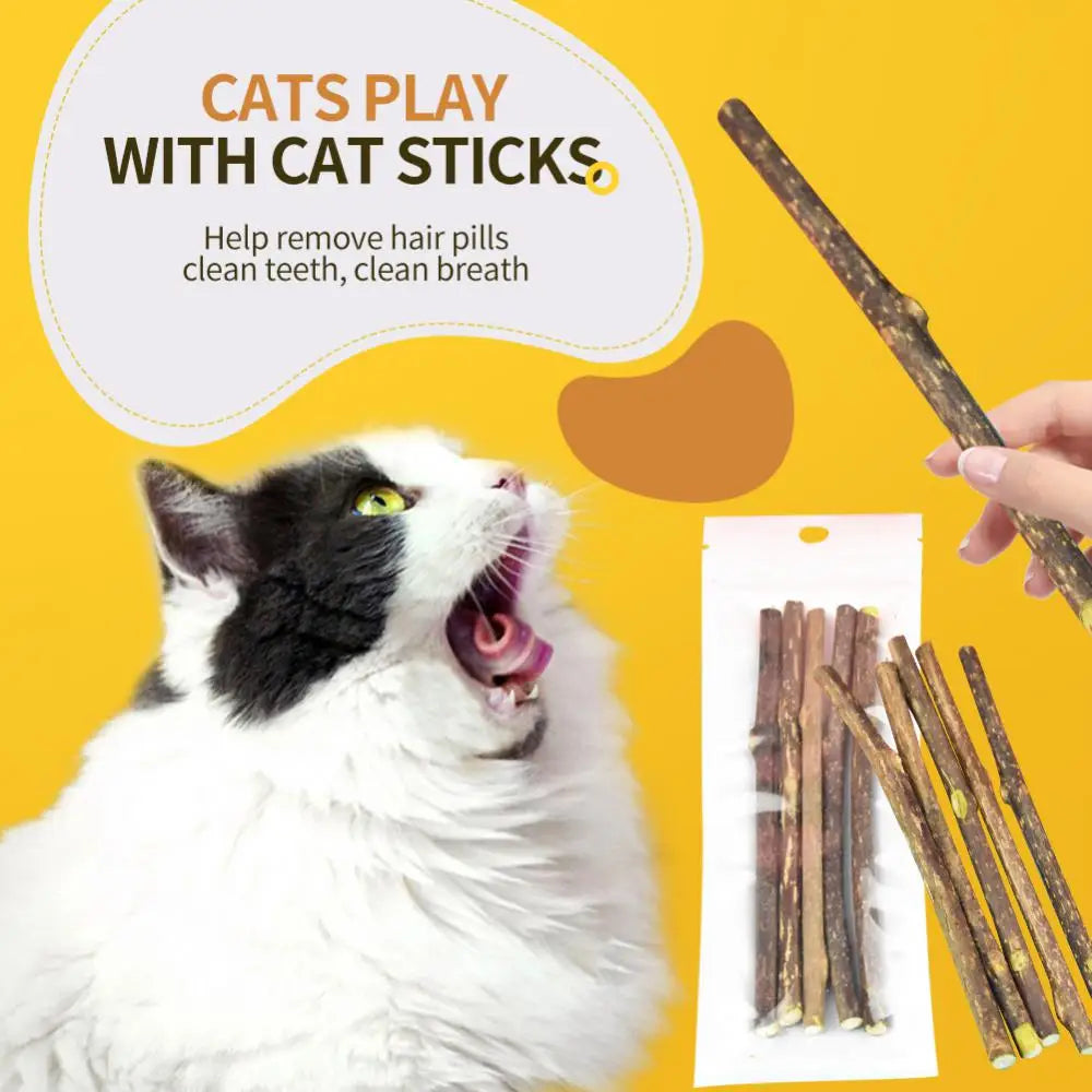 Cat Molar Stick Natural Catnip Teeth Cleaning Toothpaste Silvervine Cat Snack Stick Self Healing Kitten Chew Toy Pet Accessories