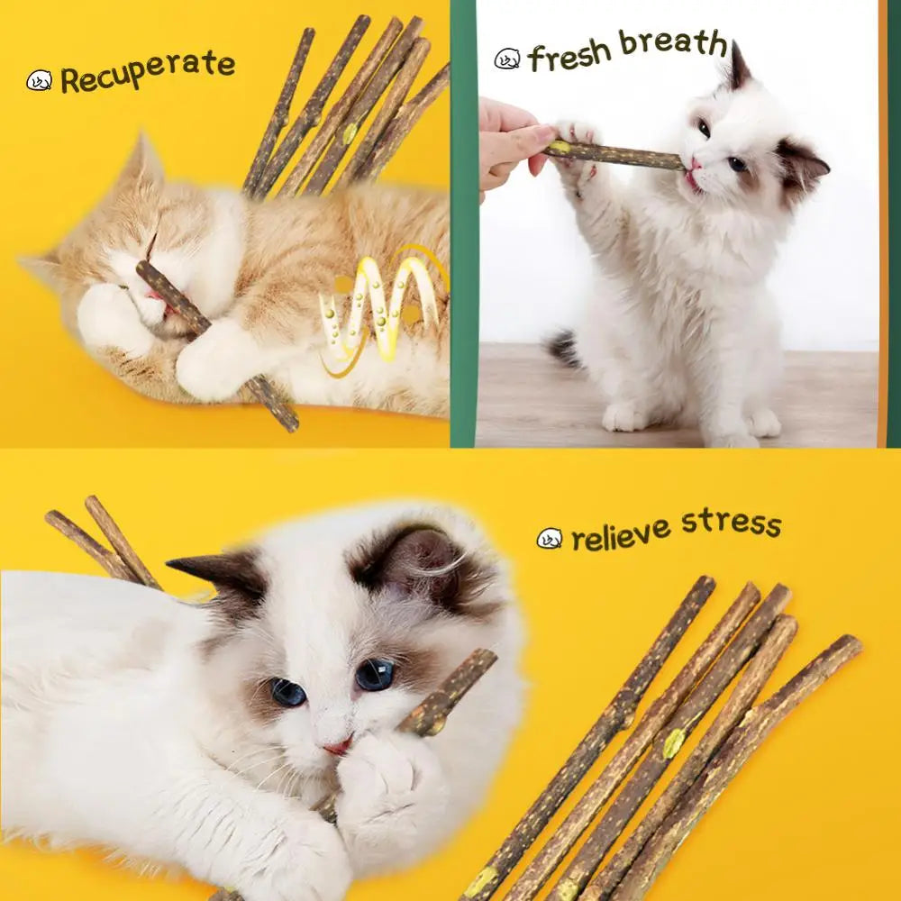 Cat Molar Stick Natural Catnip Teeth Cleaning Toothpaste Silvervine Cat Snack Stick Self Healing Kitten Chew Toy Pet Accessories