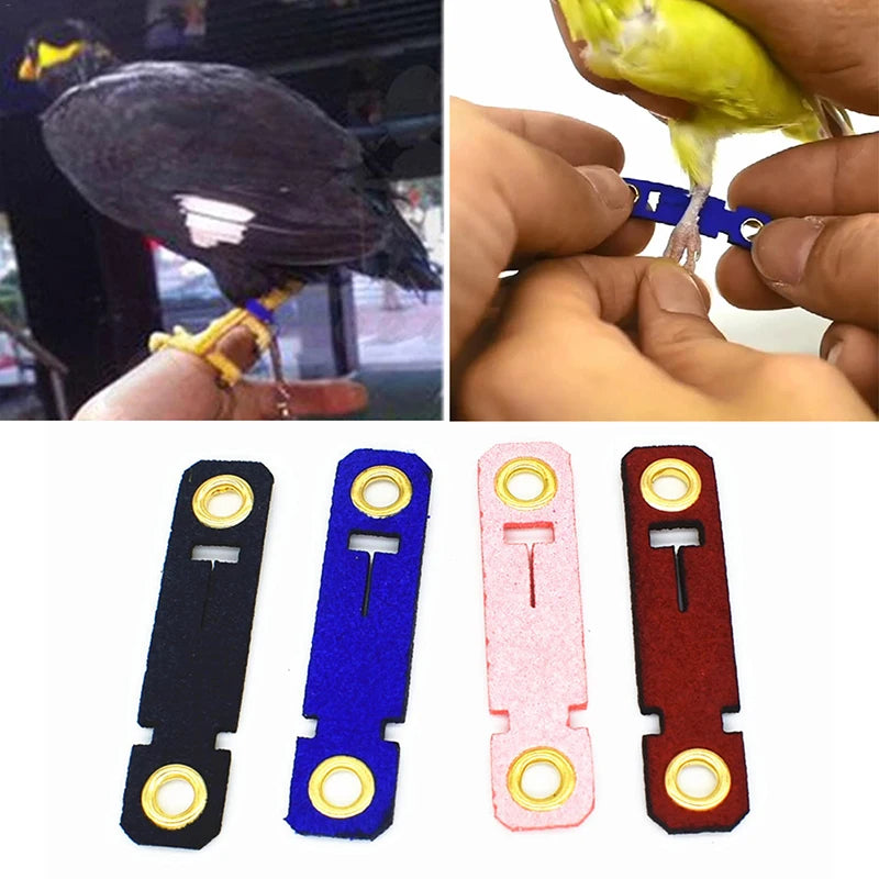 7 Size Pet Parrot Leg Ring Ankle Foot Chain Bird Suede Foot Ring Chain Leather Parrot Foot Live Buckle Rings Bird Accessories